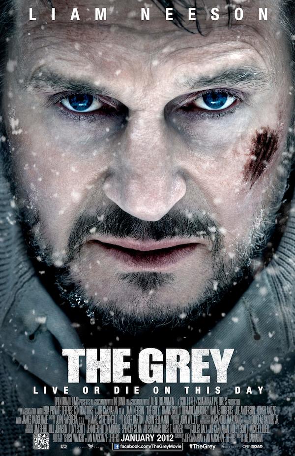 THE GREY - VJ JUNIOR